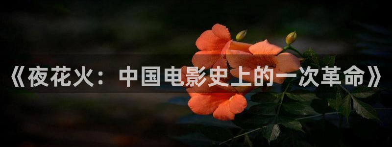 茄子视频