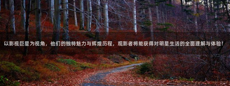 茄子视频视频