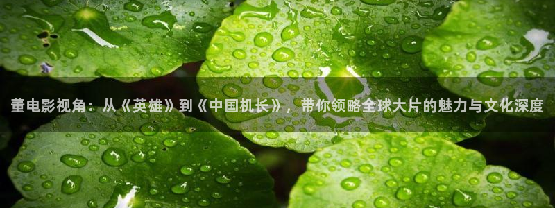 茄子视频一