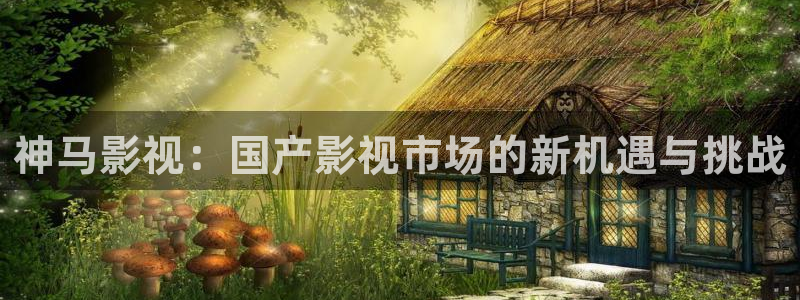 大茄子视频