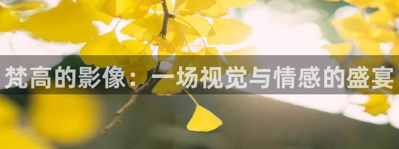小优视频茄子视频