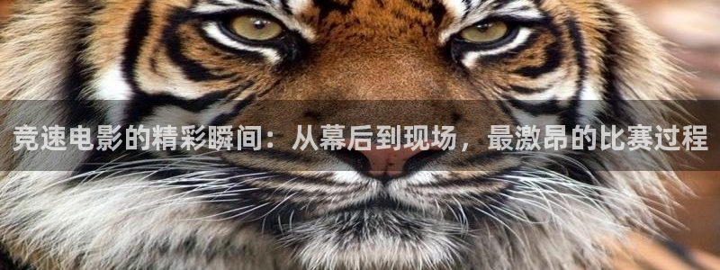 茄子视频