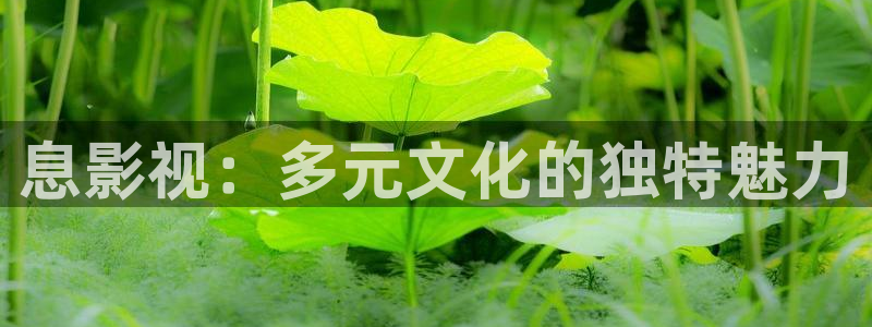 樱花视频茄子视频