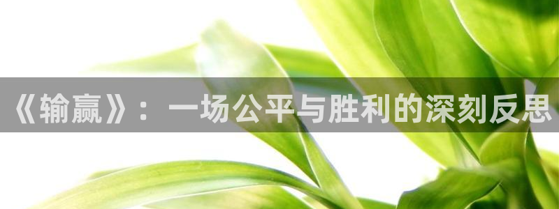 四虎茄子视频