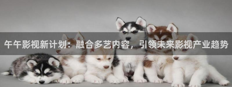 茄子视频18