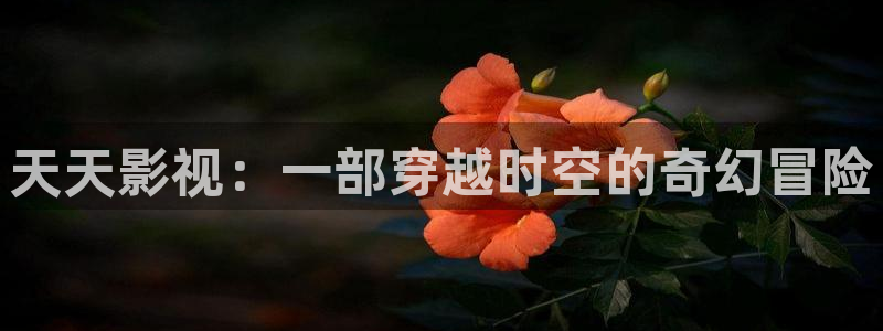 茄子视频a