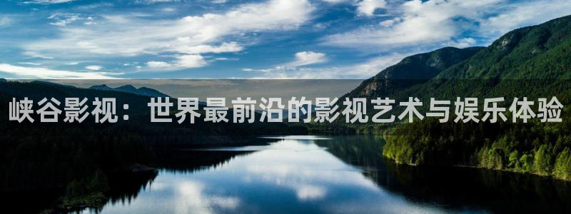 茄子视频了