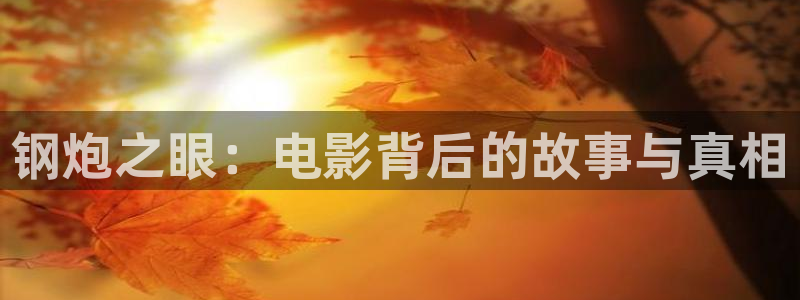 茄子视频www