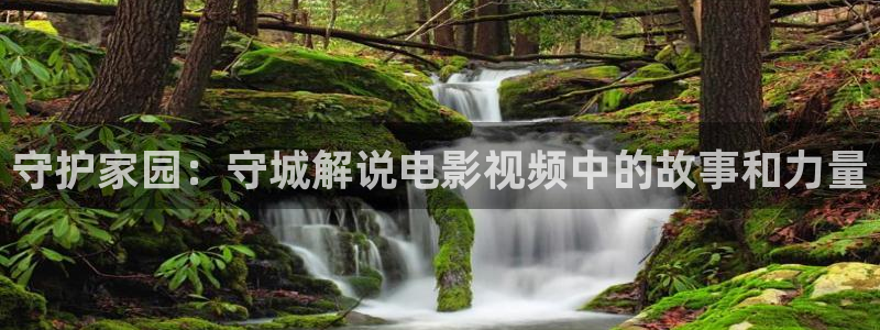 樱花视频茄子视频