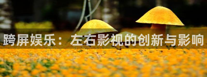 茄子视频?