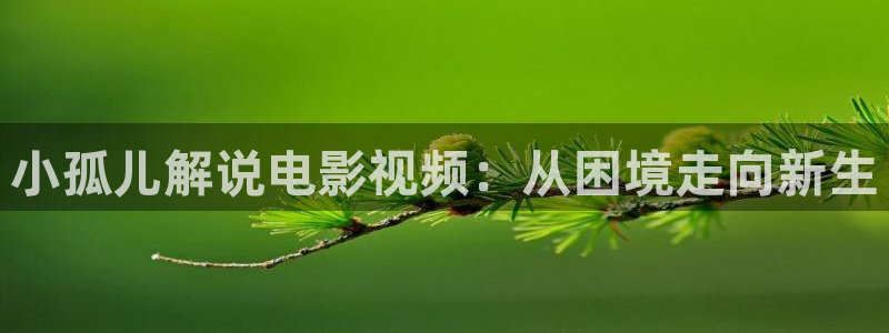 茄子视频?