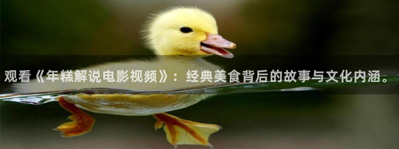 茄子视频qz