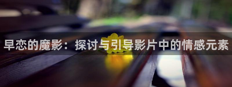 茄子视频一