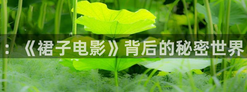 qiezi茄子视频