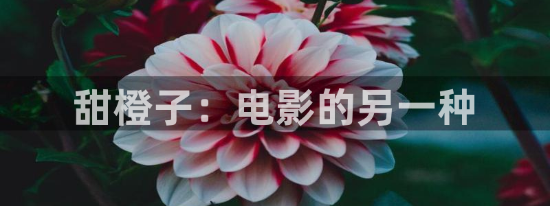 四虎茄子视频