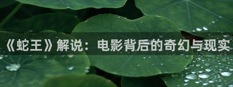 茄子视频视频