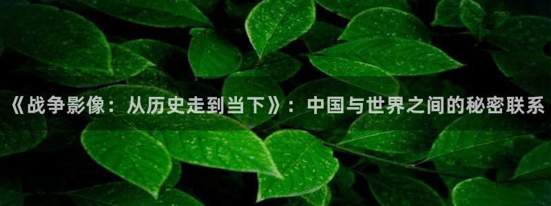 茄子视频18