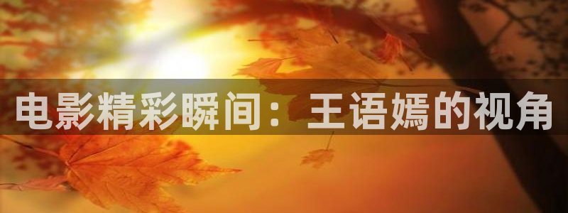 茄子视频qz