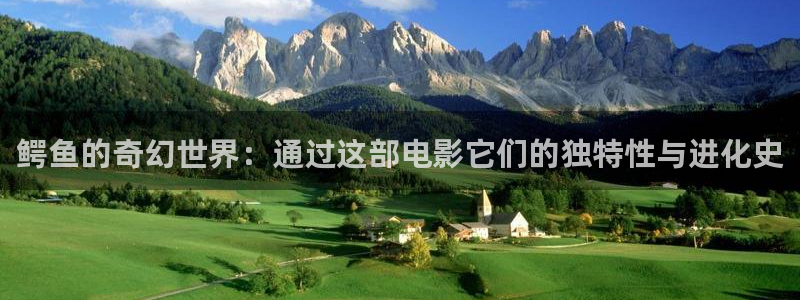 茄子视频18