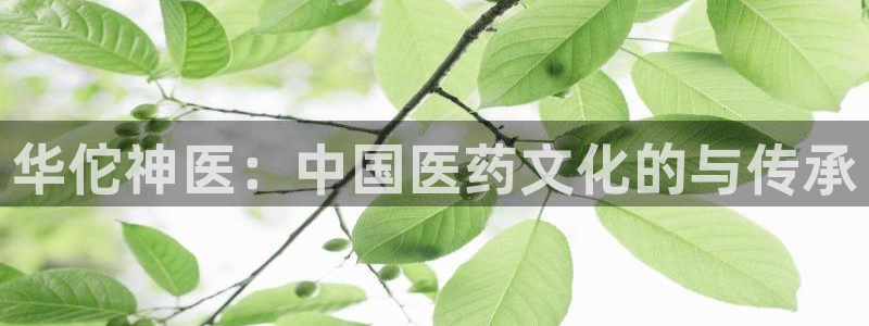 茄子视频a