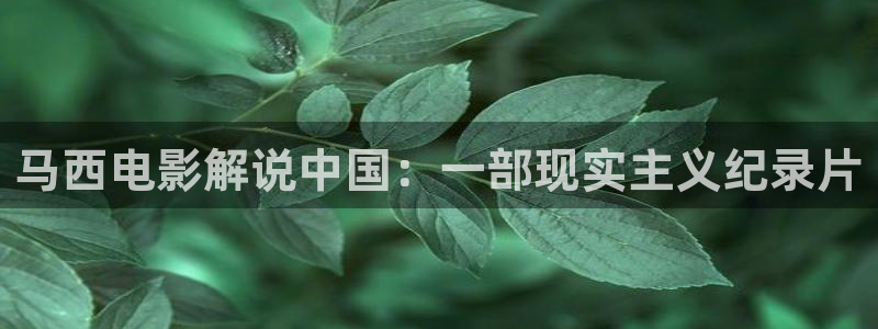 茄子视频a