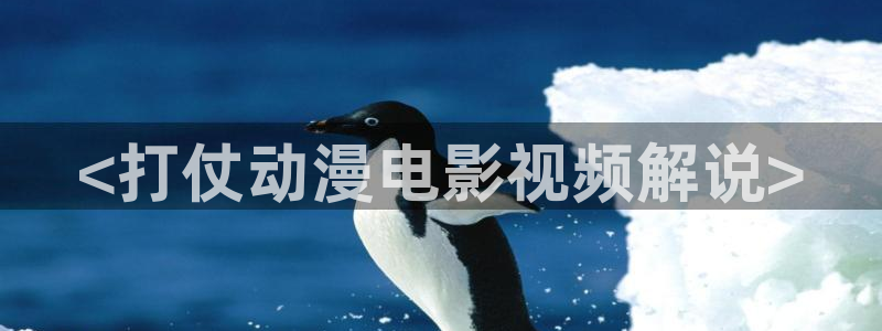 大茄子视频