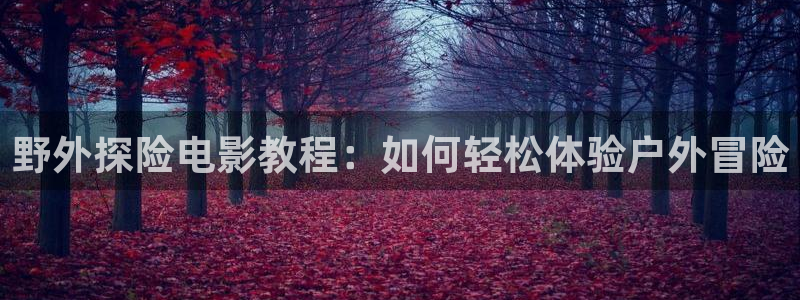 茄子视频18