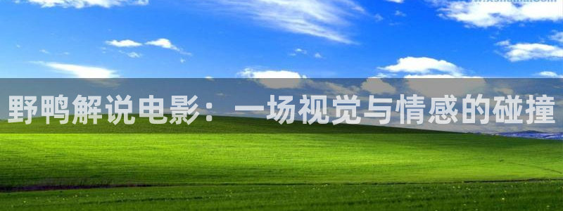qiezi茄子视频