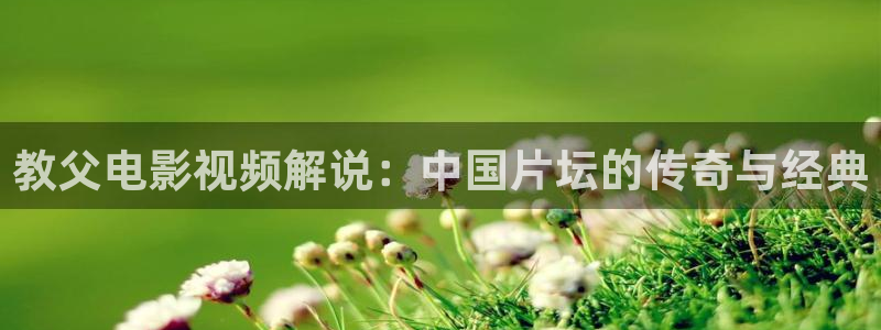 茄子视频a：教父电影视频解说：中国片坛的传奇与经典