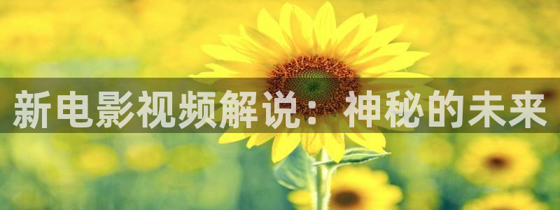 茄子视频a：新电影视频解说：神秘的未来