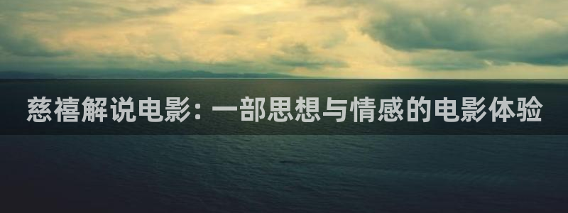 茄子视频了：慈禧解说电影: 一部思想与情感的电影体验