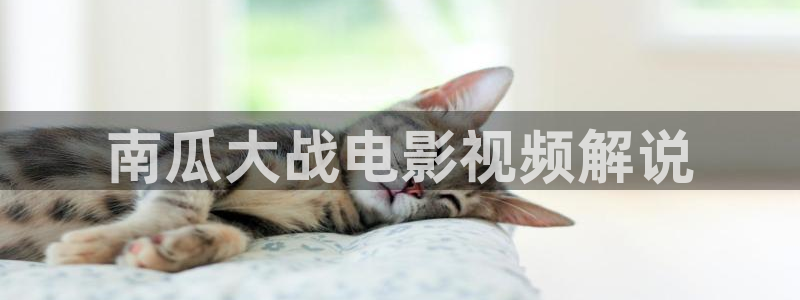 茄子视频 magnet：南瓜大战电影视频解说