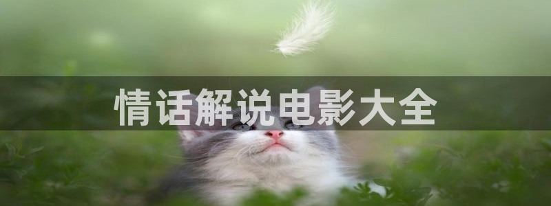 91茄子视频：情话解说电影大全
