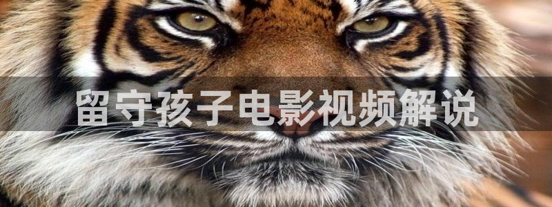 丝瓜茄子视频在线观看：留守孩子电影视频解说