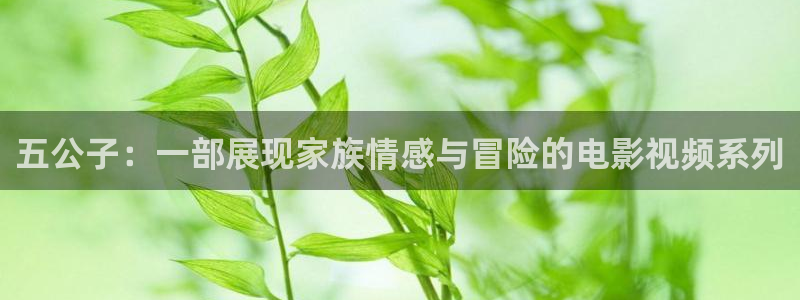 茄子视频：五公子：一部展现家族情感与冒险的电影视频系列