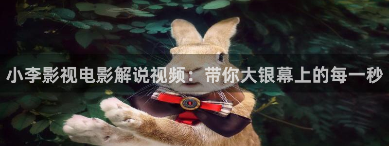 茄子视频a：小李影视电影解说视频：带你大银幕上的每一秒