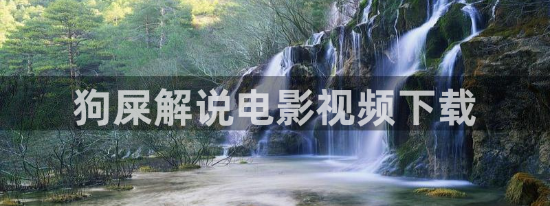 茄子视频a：狗屎解说电影视频下载