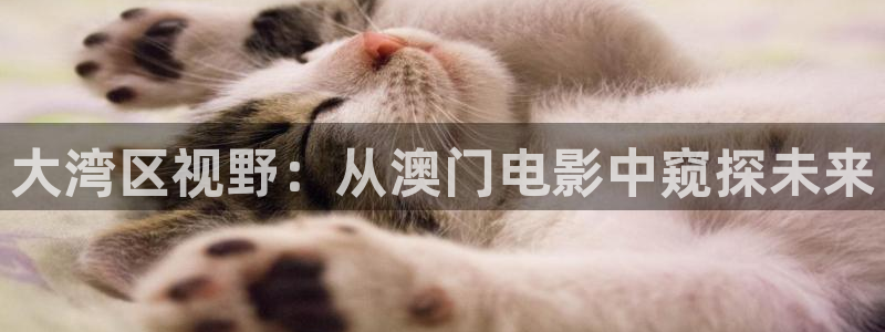 丝瓜茄子视频在线观看：大湾区视野：从澳门电影中窥探未来