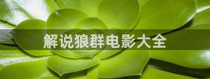 91茄子视频：解说狼群电影大全