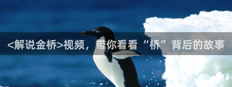 樱桃茄子视频：<解说金桥>视频，带你看看“桥”背后的故事