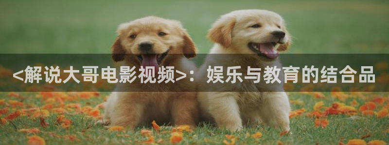 小优视频茄子视频：<解说大哥电影视频>：娱乐与教育的结合品