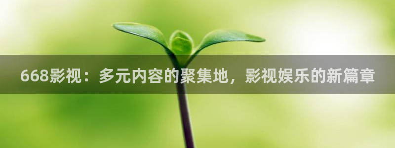 茄子视频18：668影视：多元内容的聚集地，影视娱乐的新篇章