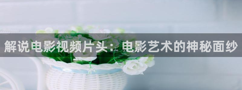 丝瓜茄子视频在线观看：解说电影视频片头：电影艺术的神秘面纱
