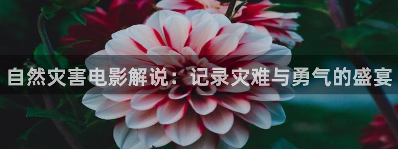 茄子视频 magnet