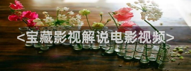 茄子视频一