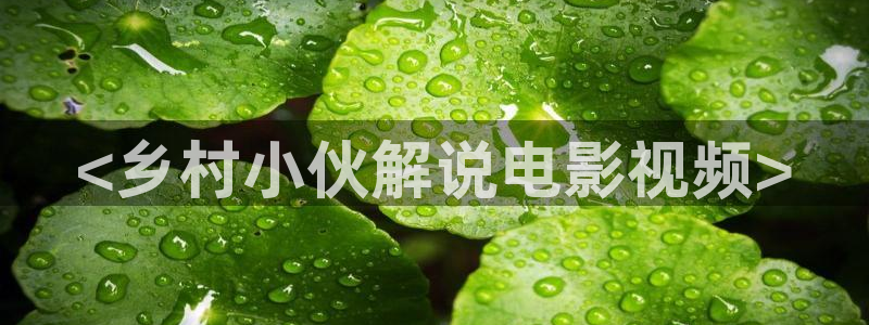 小优视频茄子视频