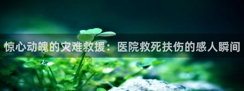 茄子视频无限看丝瓜视频丝瓜视免费观看