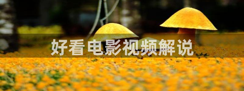 茄子视频色版