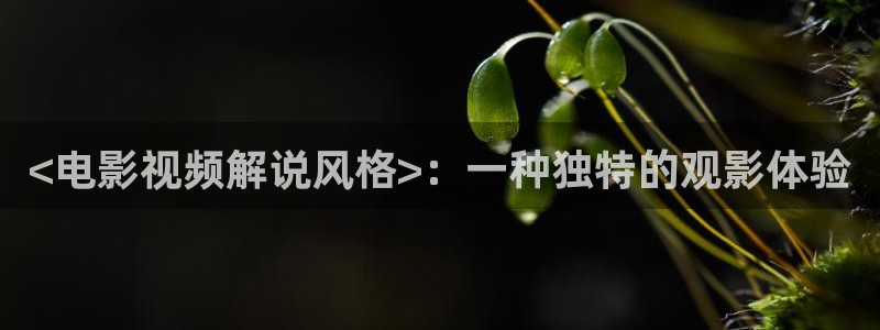 樱花视频茄子视频