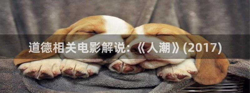 茄子视频a